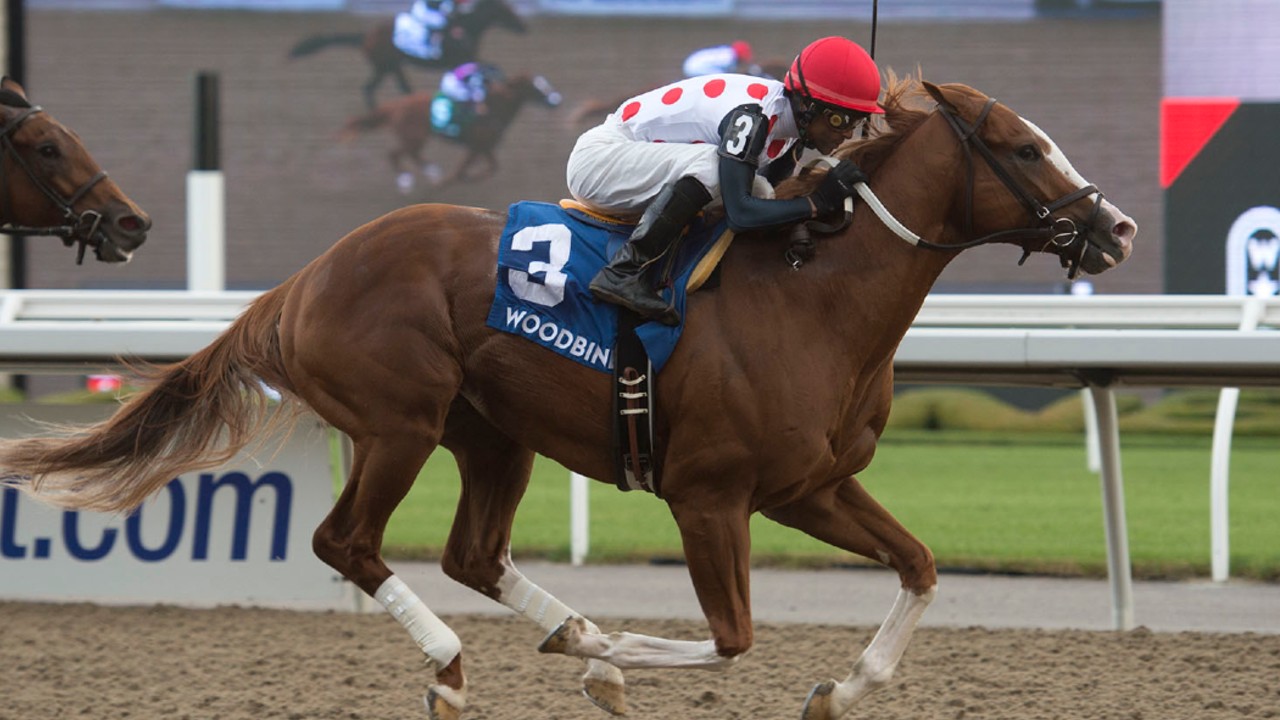Thumbnail for Jen’s Woodbine Saturday Recap: Global Access sets Track Record; Takes Hold of 3YO Title