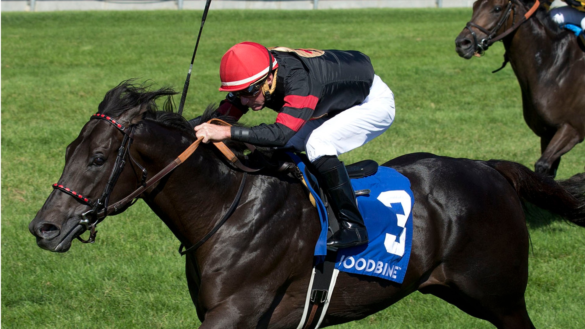 Thumbnail for Woodbine Sunday preview: Carotene and Bunty Lawless Stakes