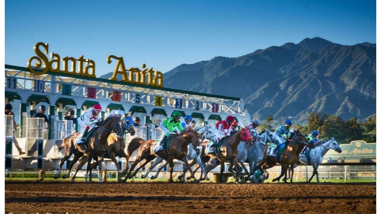 Thumbnail for “Most Important” Race Meeting of the Year begins at Santa Anita