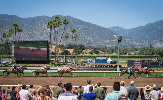Thumbnail for California Racing Cleared of Criminal Wrongdoing in Horse Deaths