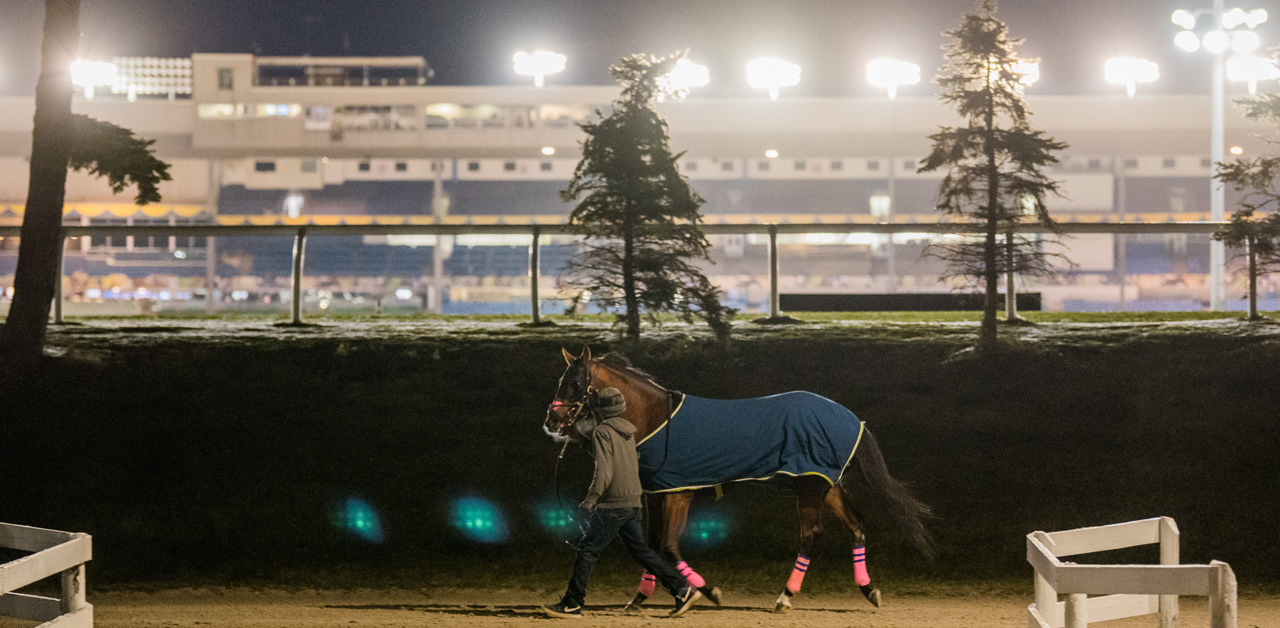 Thumbnail for Woodbine Exceeds $500 Million in All-Sources Handle…. Again