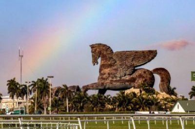 Thumbnail for Pegasus Picks to Ponder: Handicapping a Big Day at Gulfstream