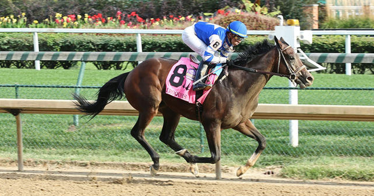 Thumbnail for Kentucky Derby Trail Heats Up With Fountain of Youth at Gulfstream