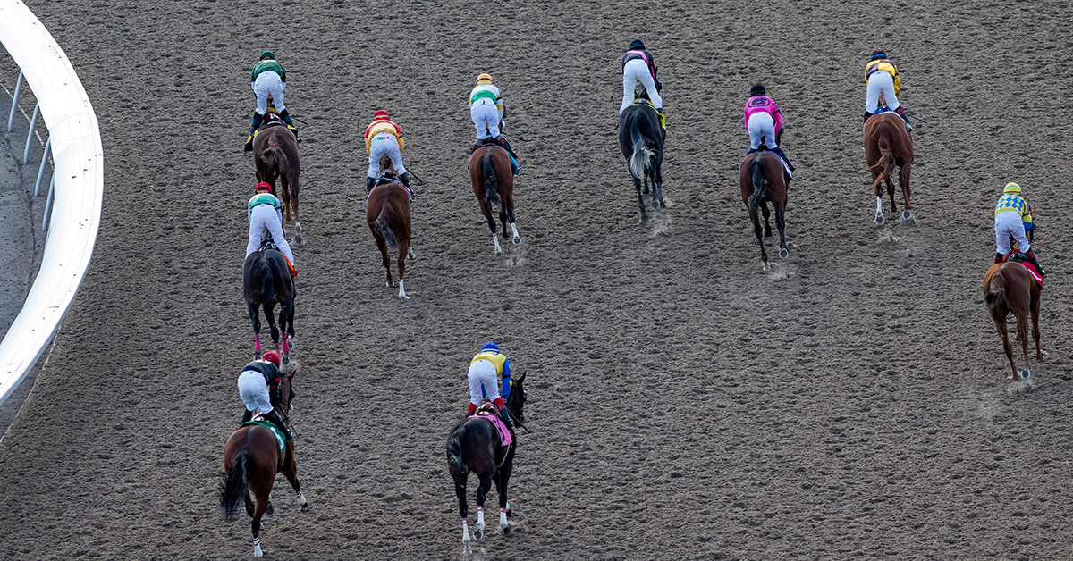 The number of Graded Stakes in Canada will remain at 45. However, six races currently with Black Type status will be upgraded to Listed status for 2020.