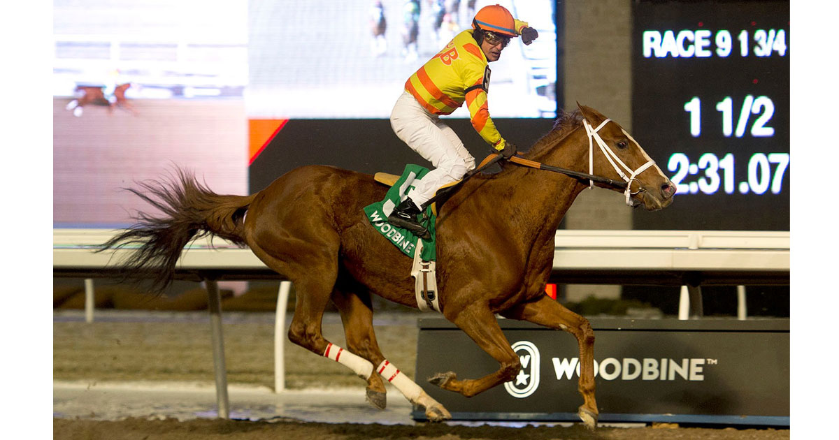 'Flyin' - PUMPKIN RUMBLE iwon his second straight Valedictory Stakes (G3). His rider Eurico da Silva ended his career with this victory. Michael Burns photo