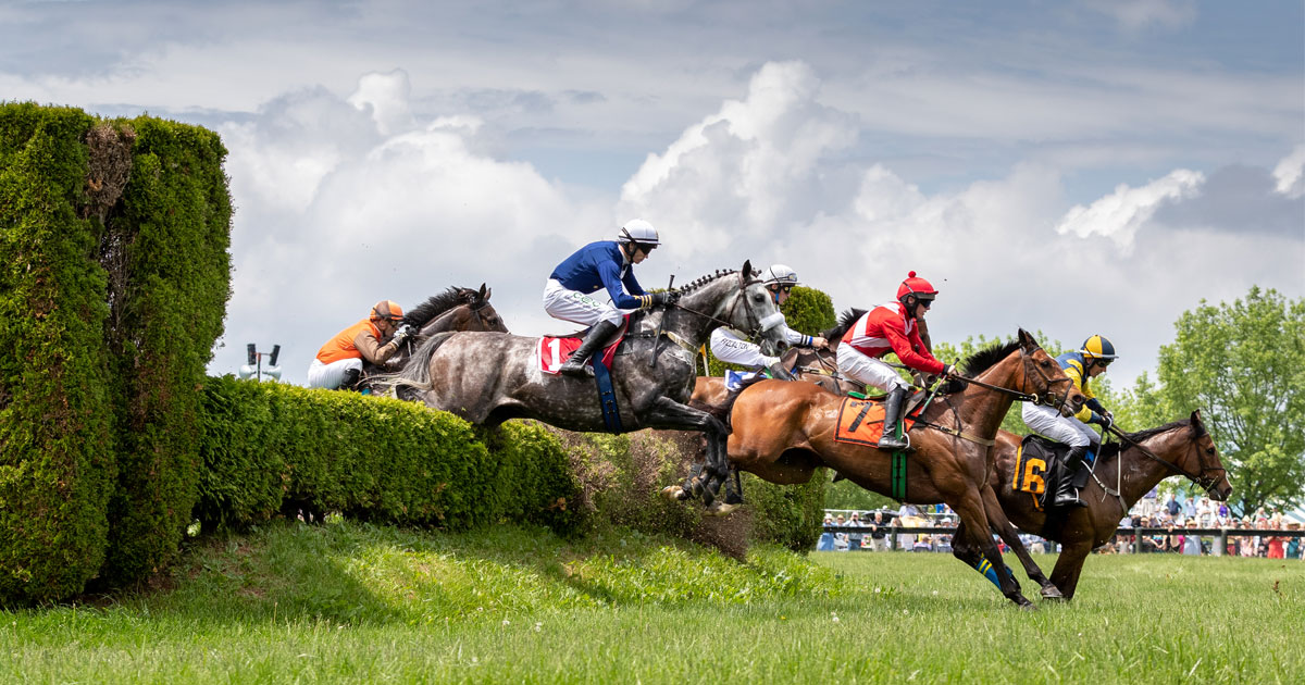 Thumbnail for A Different Kind of Horse Race: the Virginia Gold Cup