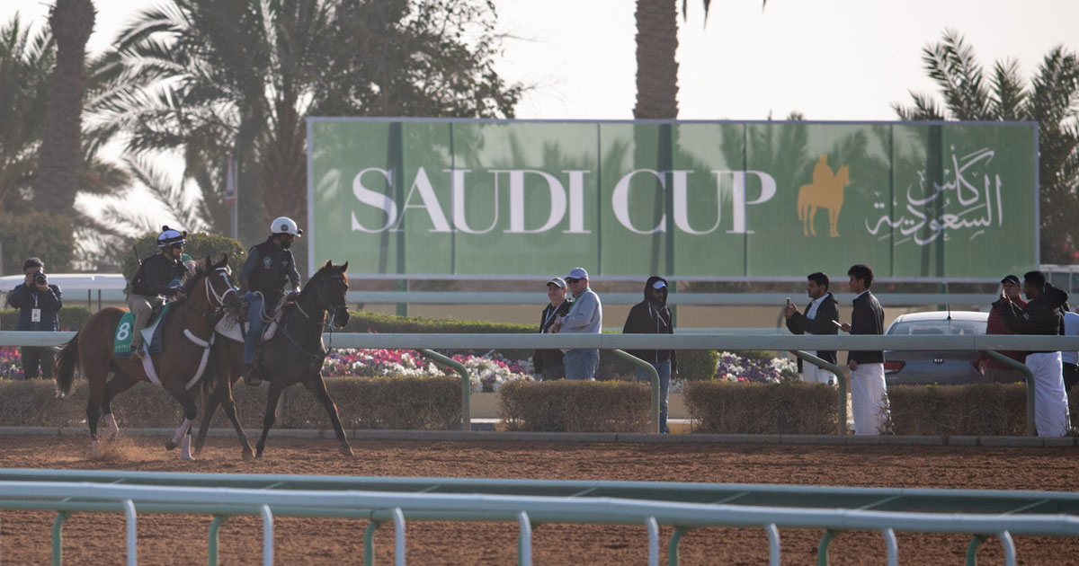 Jockey Club of Saudi Arabia/Doug DeFelice Saudi Cup photo