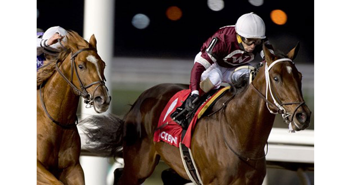 HALO AGAIN won the Coronation Futurity in 2019 and tops the Queen's Plate contenders list on Canadian Thoroughbred's website - MICHAEL BURNS PHOTO