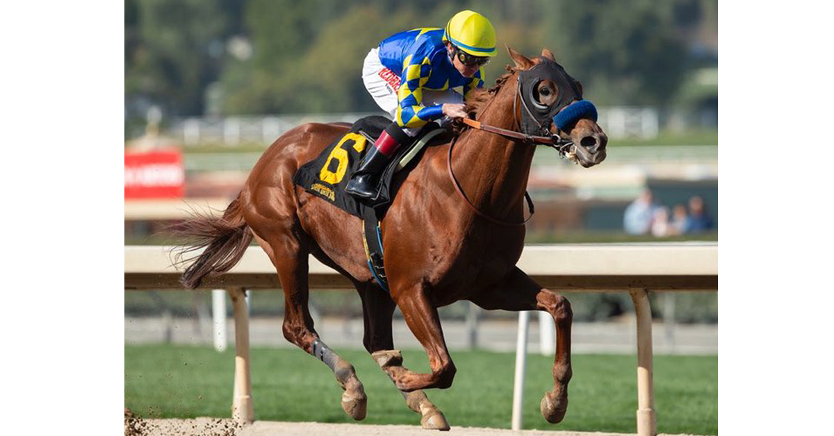 CHARLATAN, co-owned by Toronto’s John Fielding, a son of Speightstown is trained by Bob Baffert and the colt posted a whopping 105 Beyer Speed Figure
