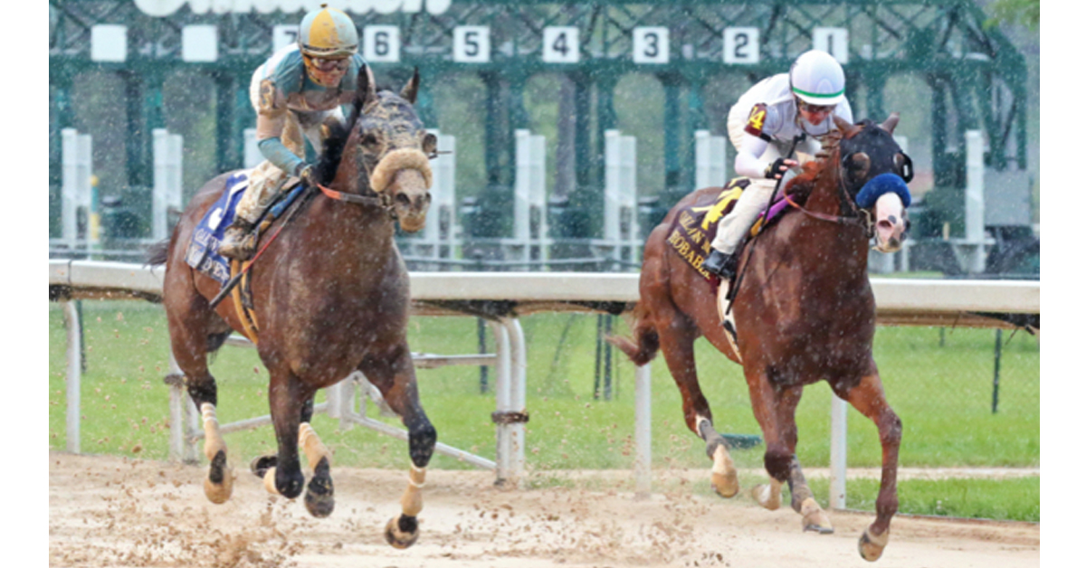 TOM'S D'ETAT, by Canadian-bred Smart Strike, is one of the top older horses in North America this year - OAKLAWN PARK PHOTO