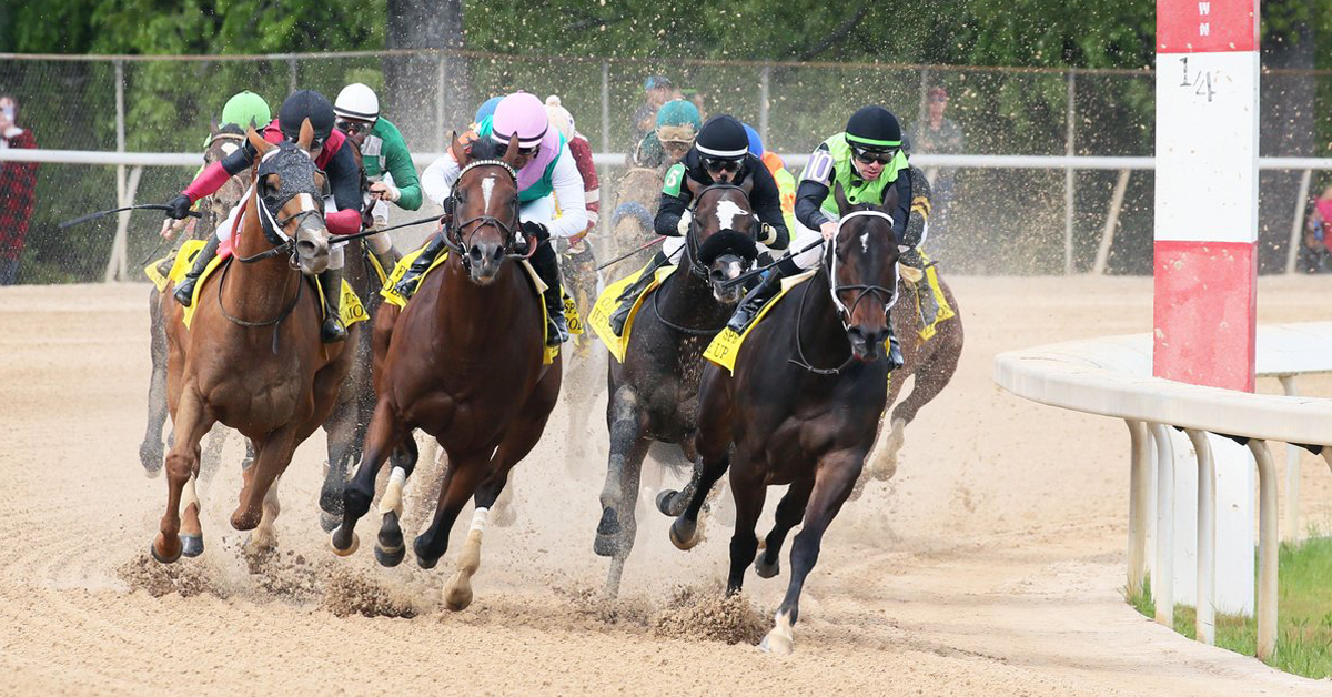 Thumbnail for Saturday Wrap: Whitmore Wins 3rd Count Fleet Stakes