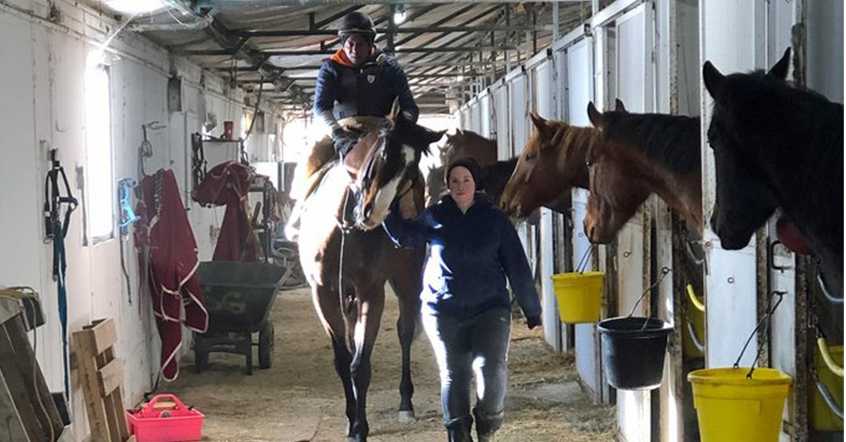 Manitoba stakes winner WHY SO BLUE in March at Assiniboia Downs with trainer Steve Gaskin on board and wife Jessica leading them out - Assiniboia Downs photo