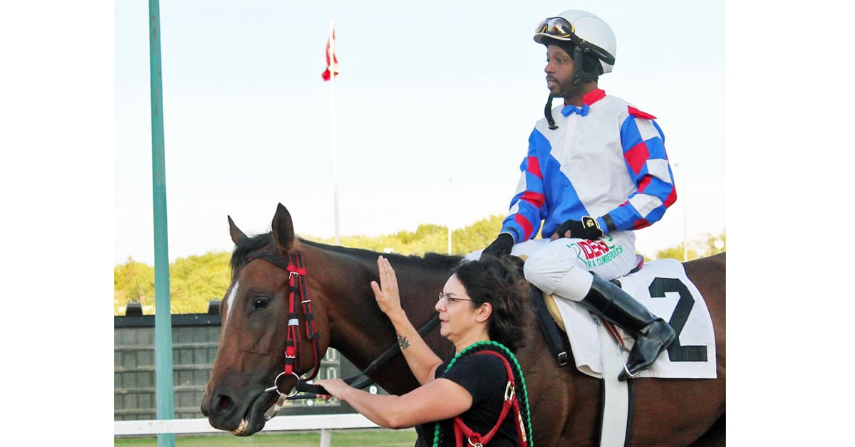 Manitoba superstar HIDDEN GRACE is 9 for 9 in her career and has been on the worktab at Assiniboia Downs getting ready for 2020 - Assiniboia Downs Twitter photo