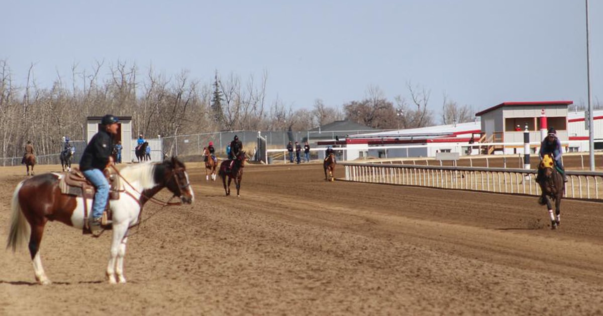 CENTURY MILE racetrack in Nisku, AB had 139 horses post workouts on May 9 as it nears opening - photo courtesy Alberta Thoroughbred Owners/Breeders - Julie Brewster