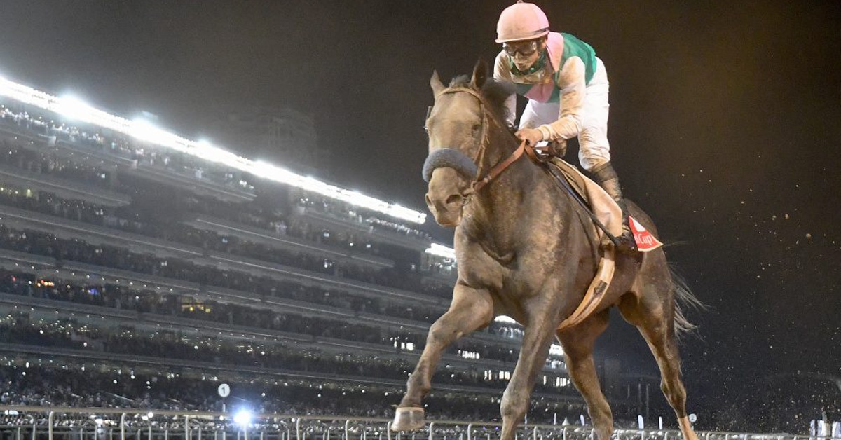 Thumbnail for Arrogate, North America’s Richest Horse, Dies at Age 7