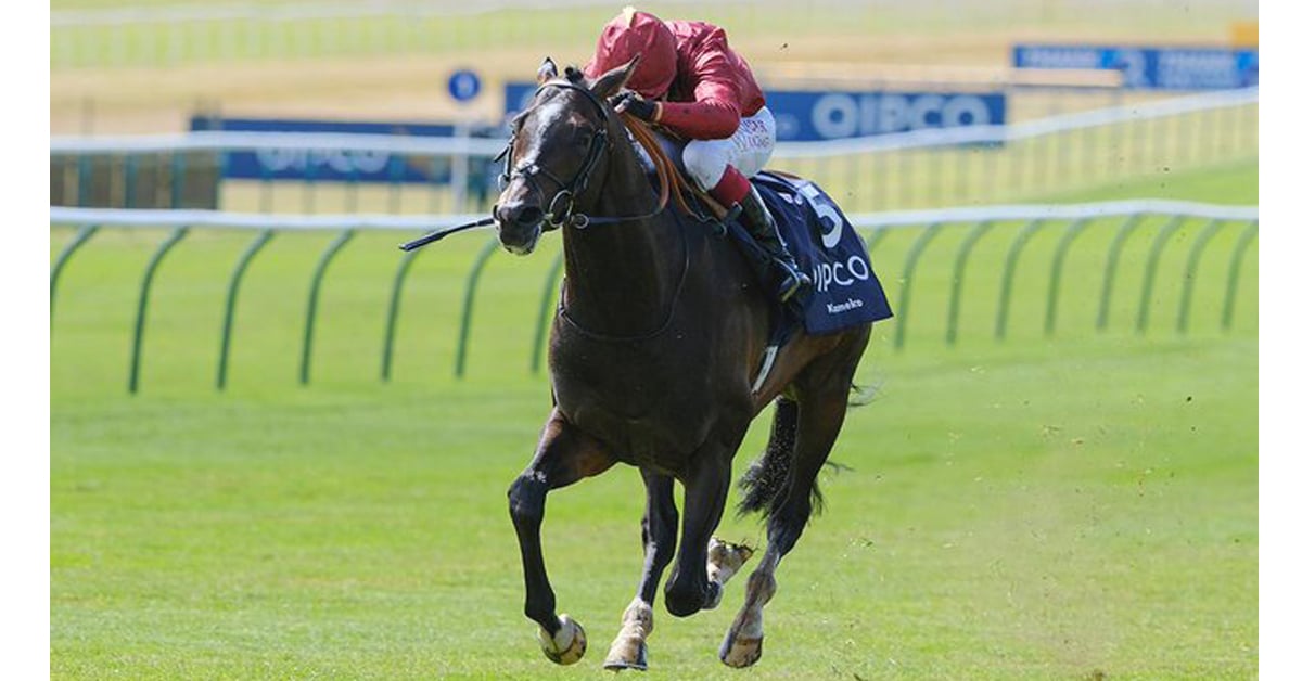 KAMEKO, the English 2000 Guineas hero is a contender for the Epsom Derby - Newmarket photo