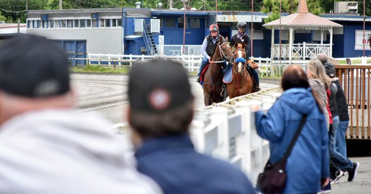 Owners involved in the Hastings Racing Club watch their star horse SQUARE DANCER train at Hastings Racecourse recently - Hastings Racing Club photo