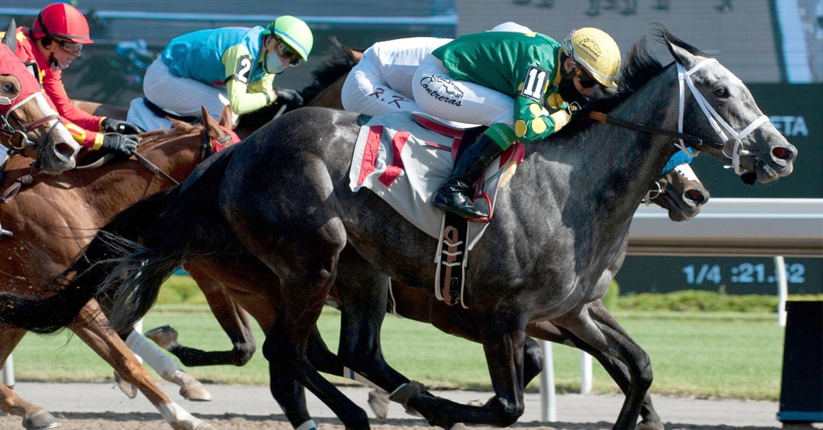 Thumbnail for Woodbine’s Hotshots From Opening Weekend & More