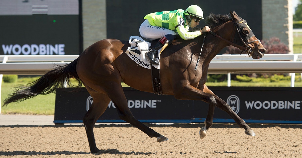Jockey Jerome Lermyte guides trainer's Wesley Ward's Owlette to victory in the $100,000 dollar Star Shoot Stakes at Woodbine.Owlette is owned by Ten Broeck Farm Inc. michael burns photo