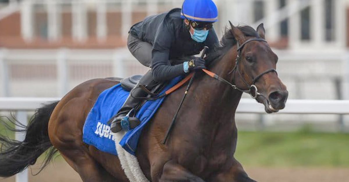 Godolphin posted this recent photo of the unbeaten PINATUBO in a workout, preparing for Saturday's 2000 Guineas - courtesy Godolphin