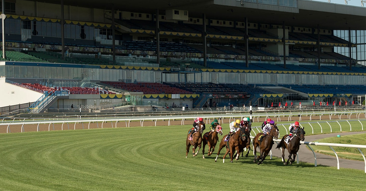 Woodbine Racetrack.Thoroughbred's race into the first turn in the 9th race on opening day at Woodbine racetrack without spectators. michael burns photo