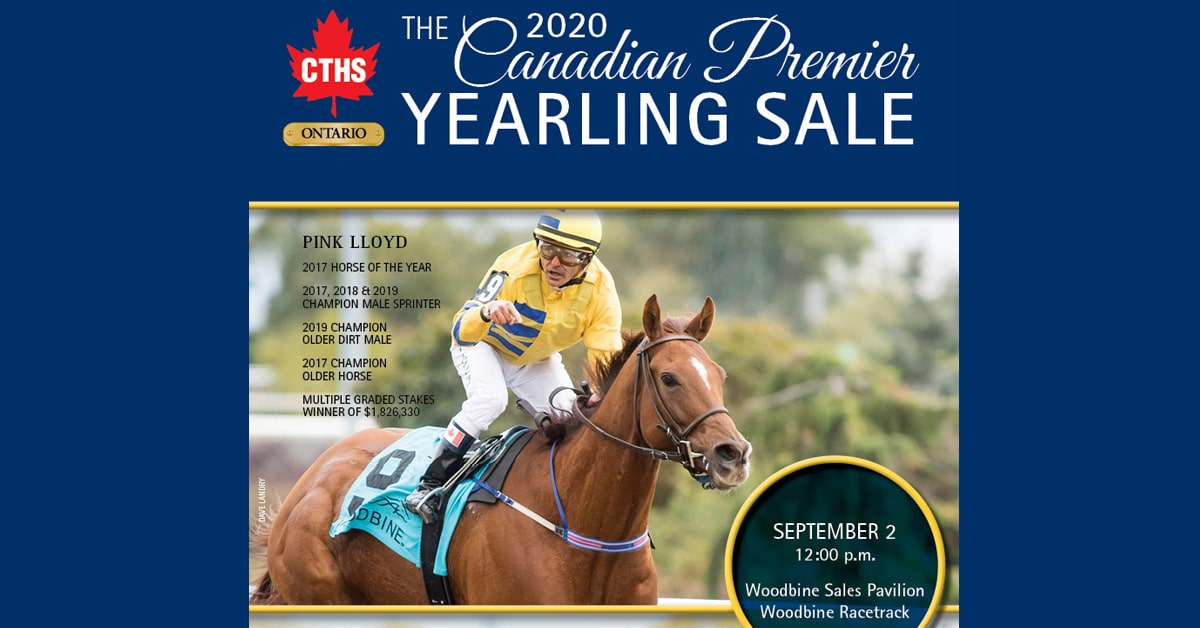 Thumbnail for Canadian Premier Yearling Sale Preview: CTHS Releases Catalogue