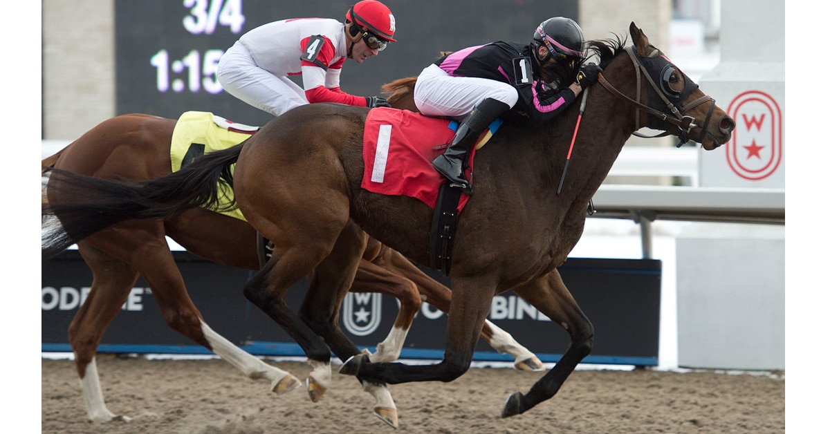 Thumbnail for Queen’s Plate, Oaks Contenders In Action Saturday July 25