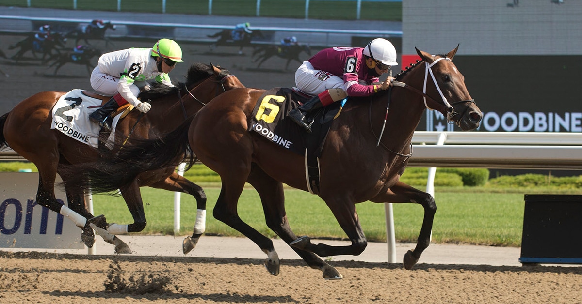 Jockey Rafael Hernandez guides Halo Again to victory for owners Winchell Thoroughbreds LLC and Willis Horton Racing LLC and trainer Steve Asmussen in the $125,000 Queenston Stakes. (Michael Burns photo)