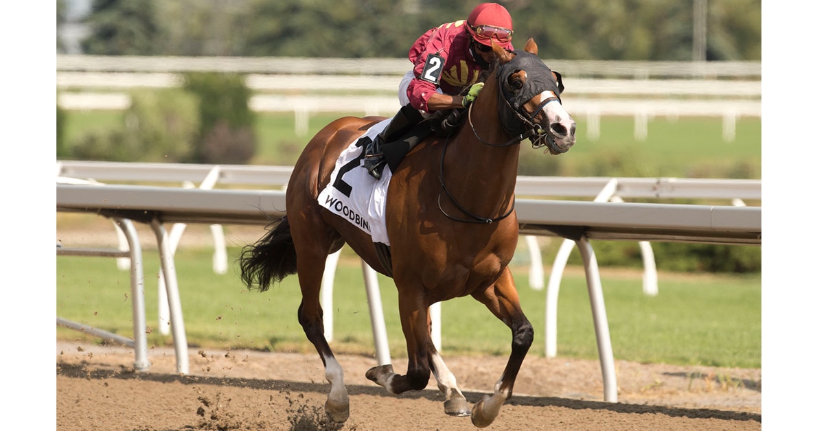 Thumbnail for Mr. Ritz Puts On A Show; Stein rides 8 Winners in Week