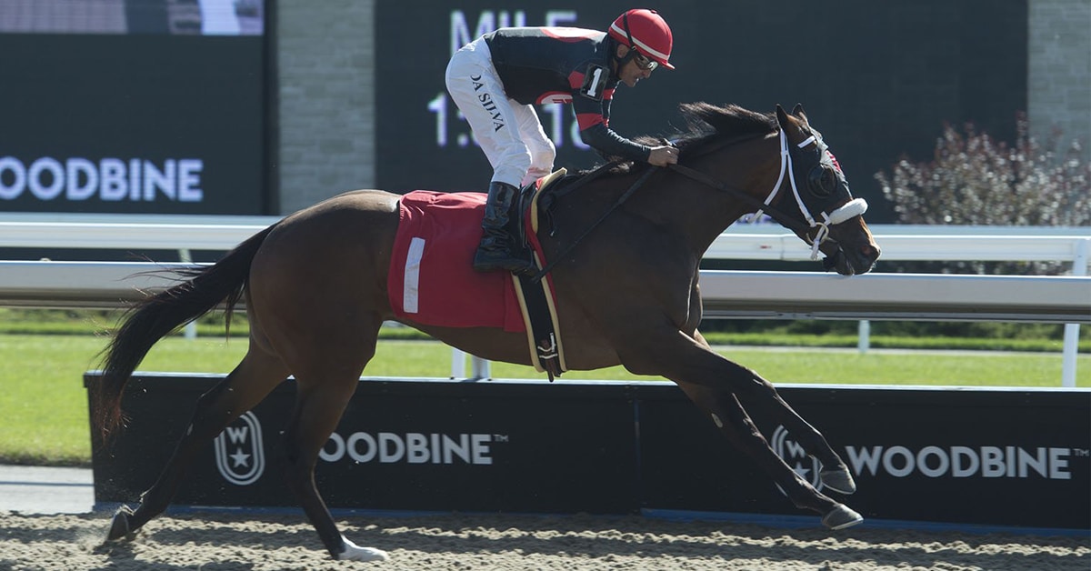 DOTTED LINE begins trek to Queen's Plate in Queenston Stakes for Howard Walton and Sid Attard 0 Michael Burns photo