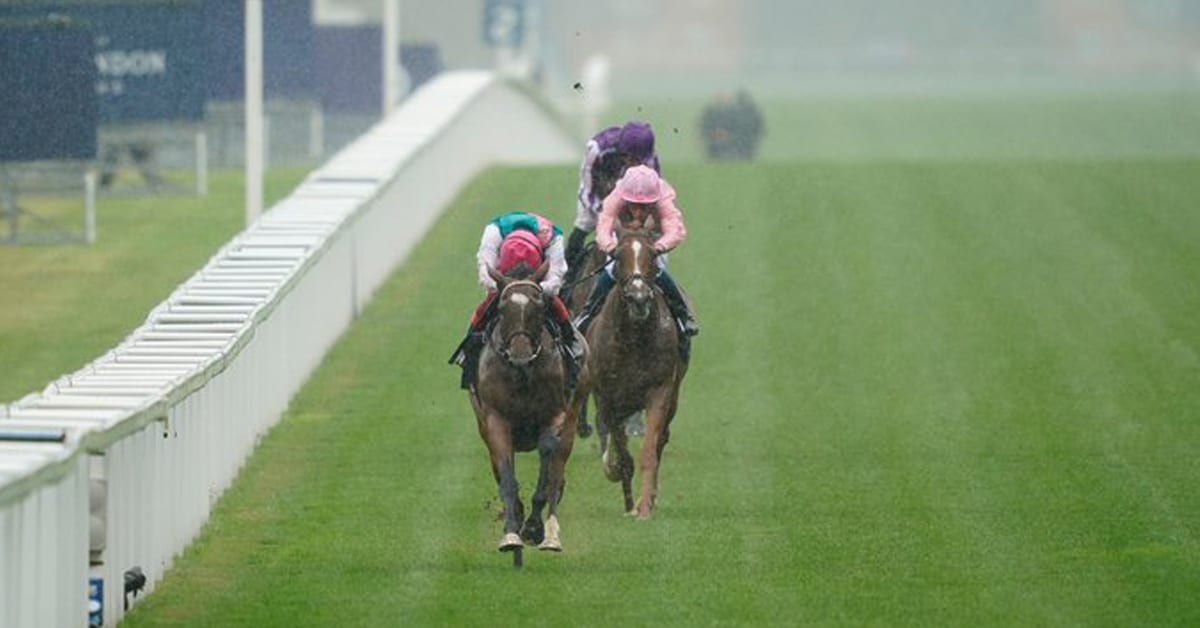 Thumbnail for Watch:  Enable Wins Third King George VI and Queen Elizabeth