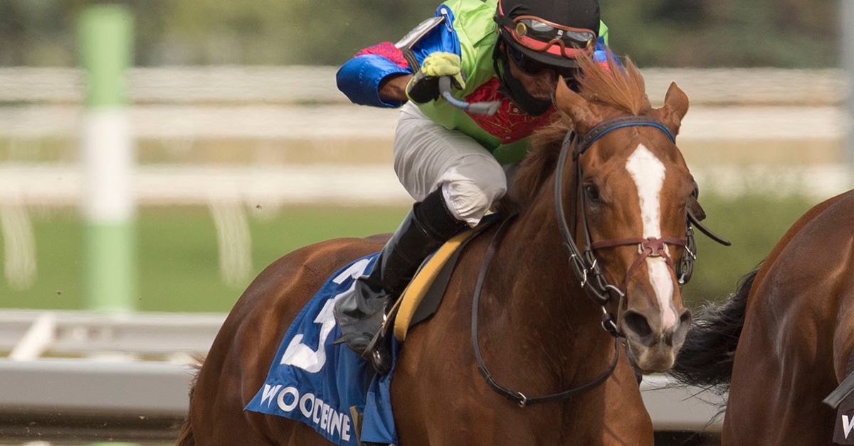 Thumbnail for Woodbine Oaks Update: Thirty-six Fillies Remain Eligible