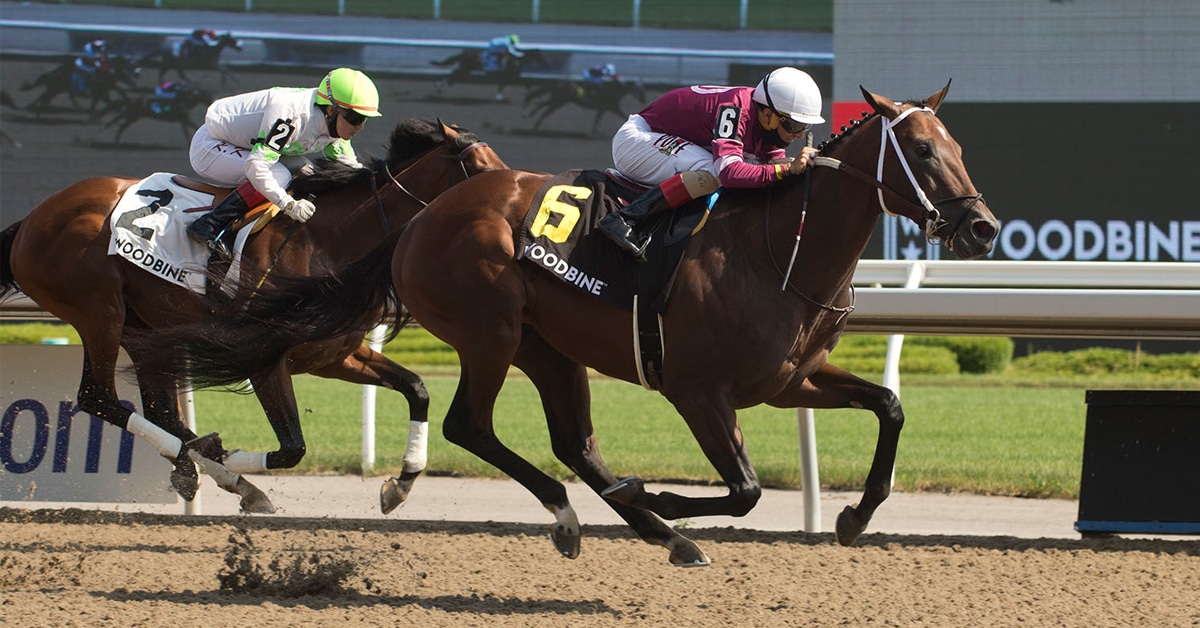 Thumbnail for Road to The Queen’s Plate: 61 Contenders Remain on Target