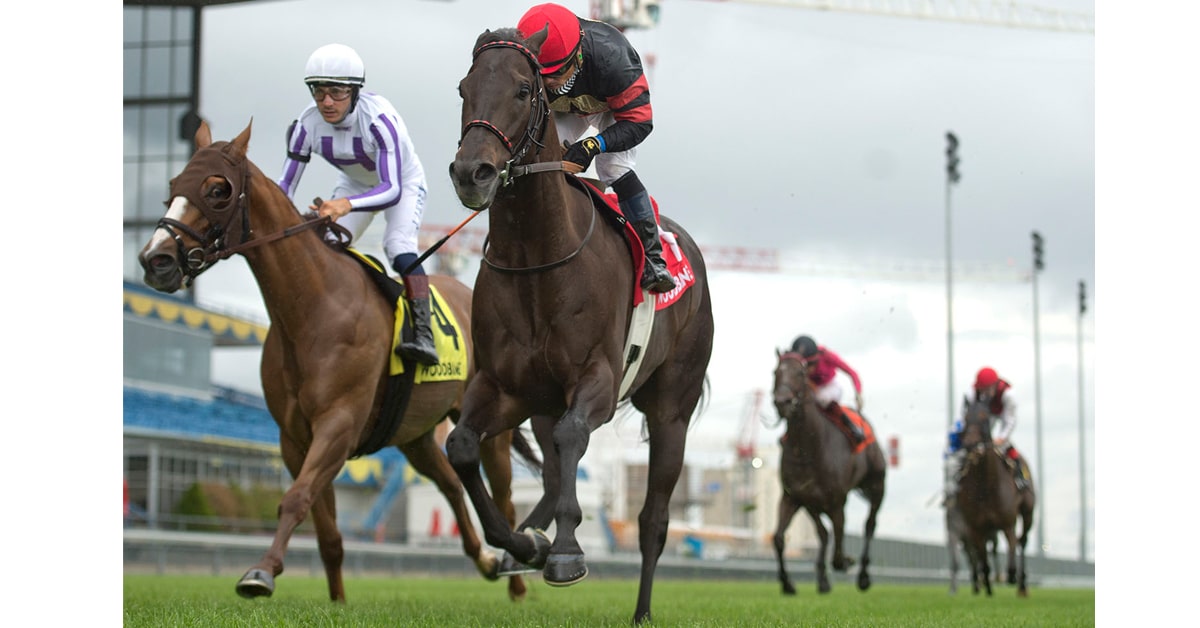 Jockey Justin Stein guides Stronach Stable's Silent Poet to victory in the $175,000 dollar Connaught Cup at Woodbine over the E.P.Taylor Turf Course. (Michael Burns photo)