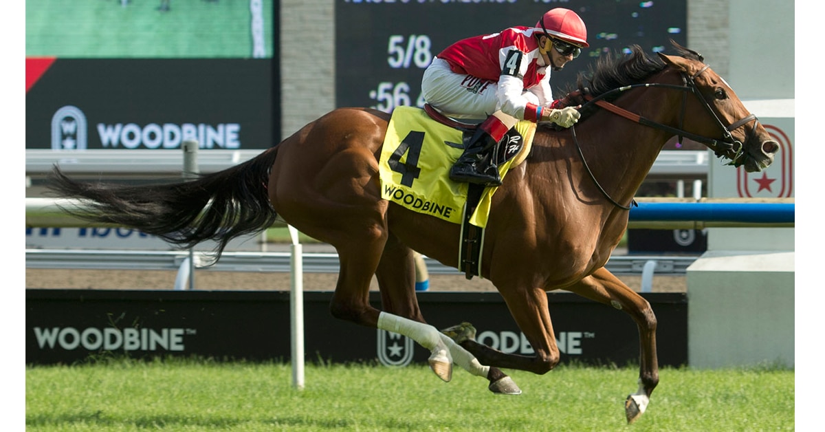 Summer Sunday winning the 2019 Royal North Stakes at Woodbine Racetrack. (Michael Burns Photo)