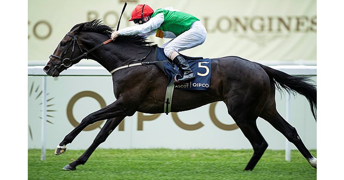 PYLEDRIVER is one of the contenders in the Investec Epsom Derby July 4 - Epsom Downs photo