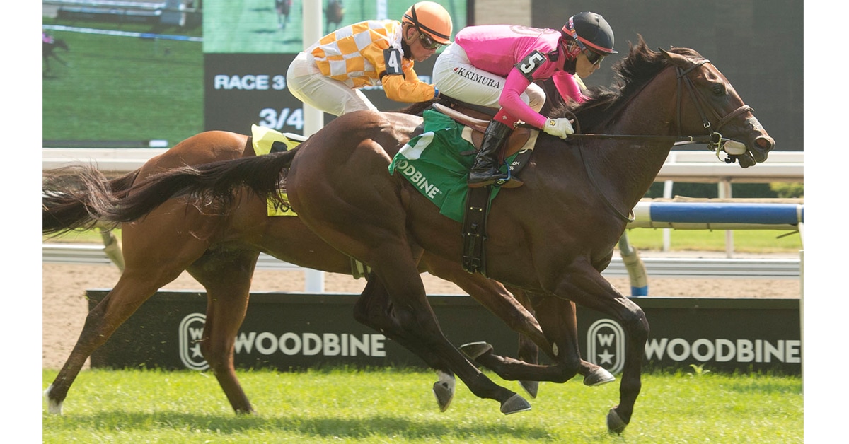 Thumbnail for Sunday Aug. 23 at Woodbine: Hot Stuff in Two-Year-Old Races