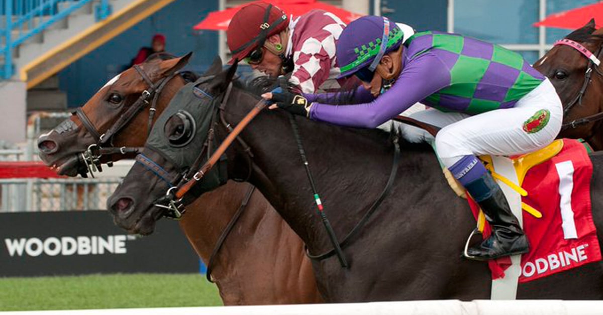 Thumbnail for Longshots Galore at Woodbine Sat.; Chart on Course in Ontario Colleen