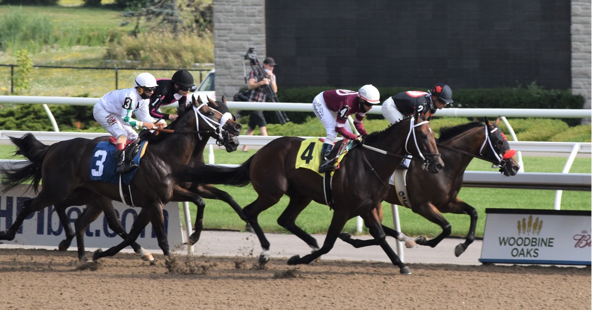 Thumbnail for Queen’s Plate Top 12: A Boys Vs Girls Classic on Sept. 12