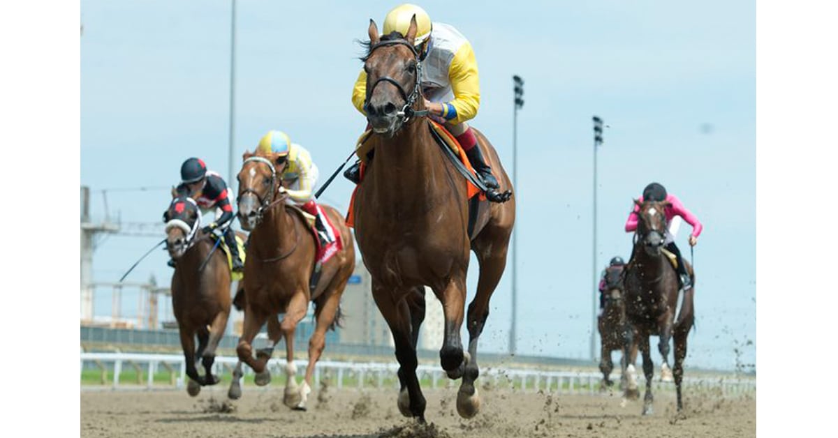 Thumbnail for Woodbine Stakes Winner Shirl’s Speight Confirmed for Kentucky Derby