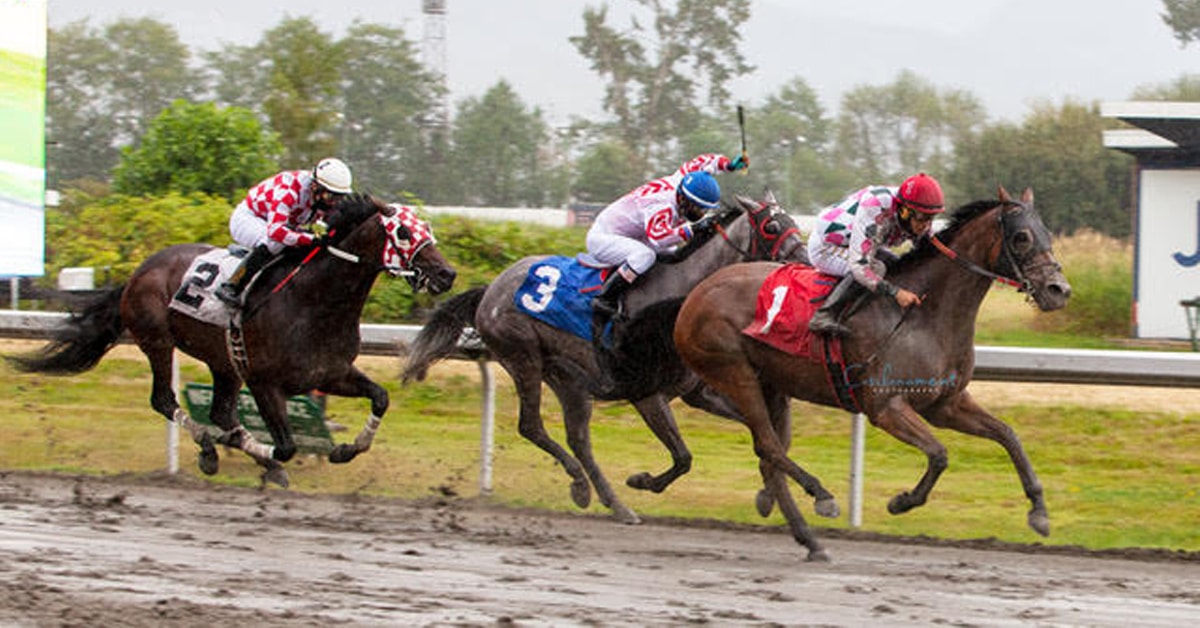 Thumbnail for BC-bred Coulterberry Upsets $50,000 Lieutenant Governors’