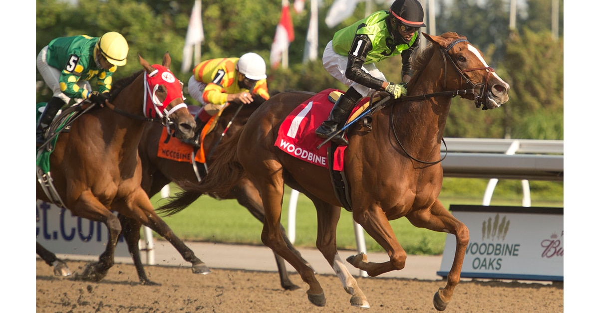 Thumbnail for Curlin’s Voyage was Fantastic; Hill ‘n’ Dale, Windsor Boys’ Filly Wins Oaks