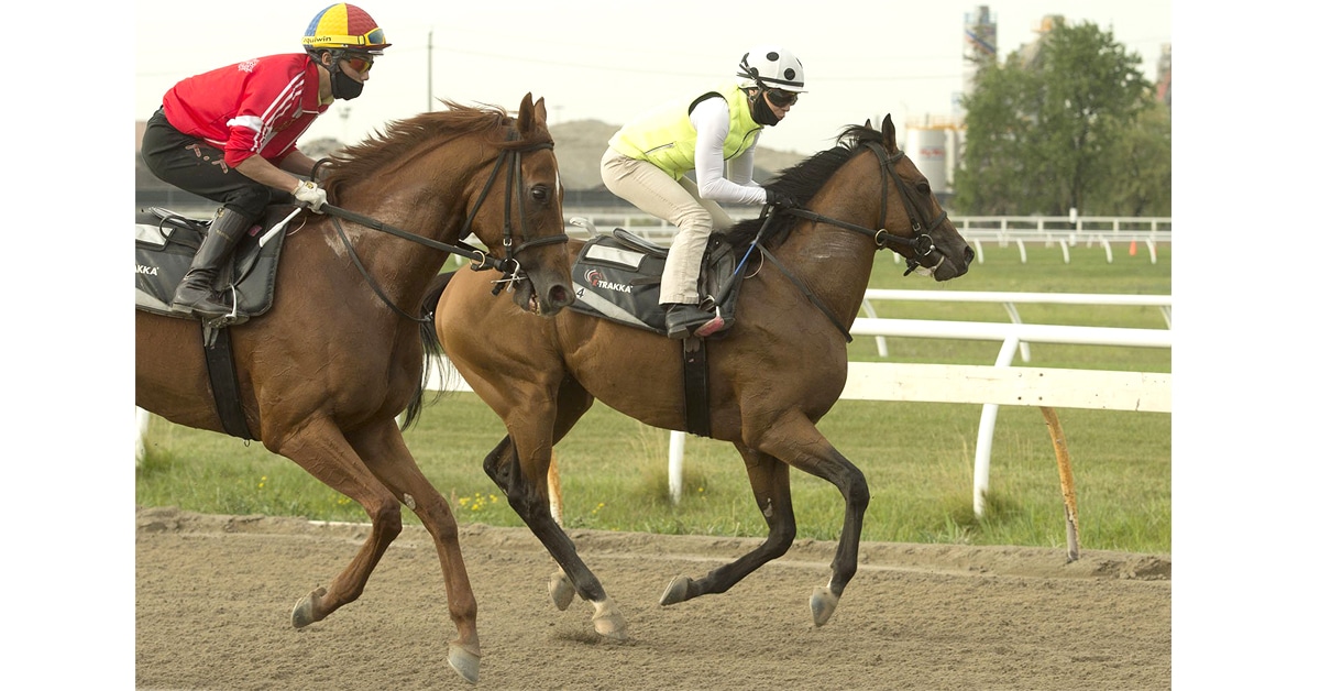 Thumbnail for Weekly Wrap in Canadian Racing, Aug. 17-23; Shirl works