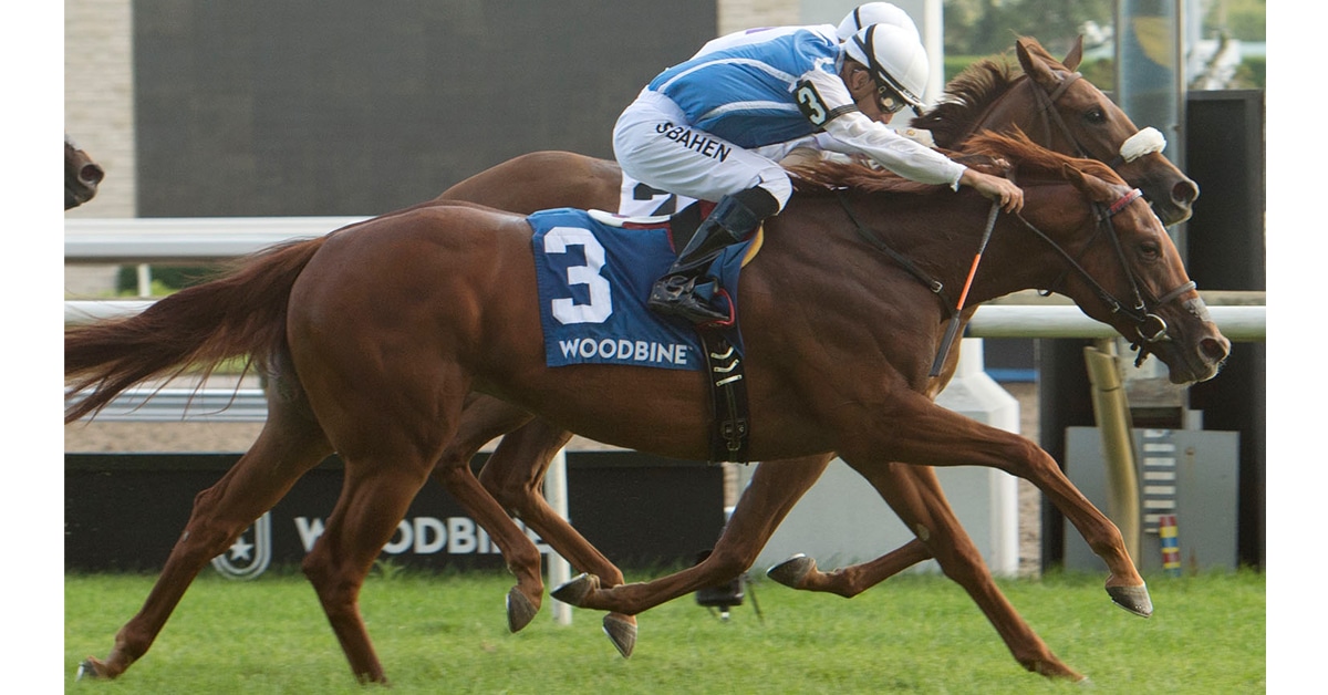 Thumbnail for Win and You’re In Woodbine Sunday for 2-Year-Olds