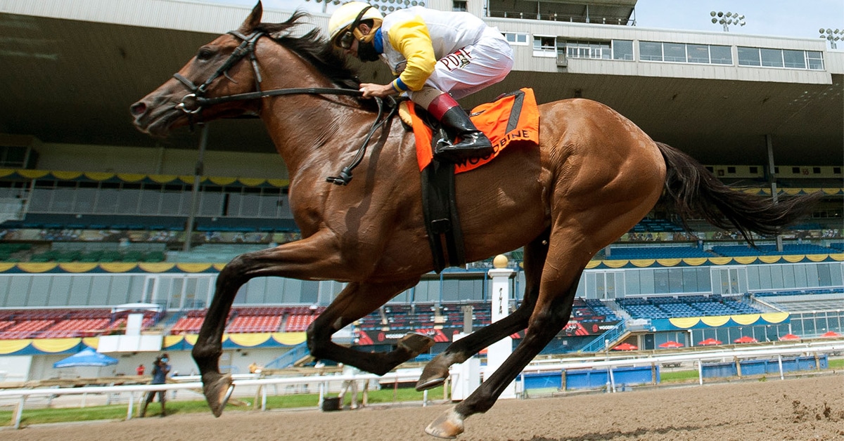 Thumbnail for Toronto Cup and Duchess Stakes Highlight Saturday Woodbine Action