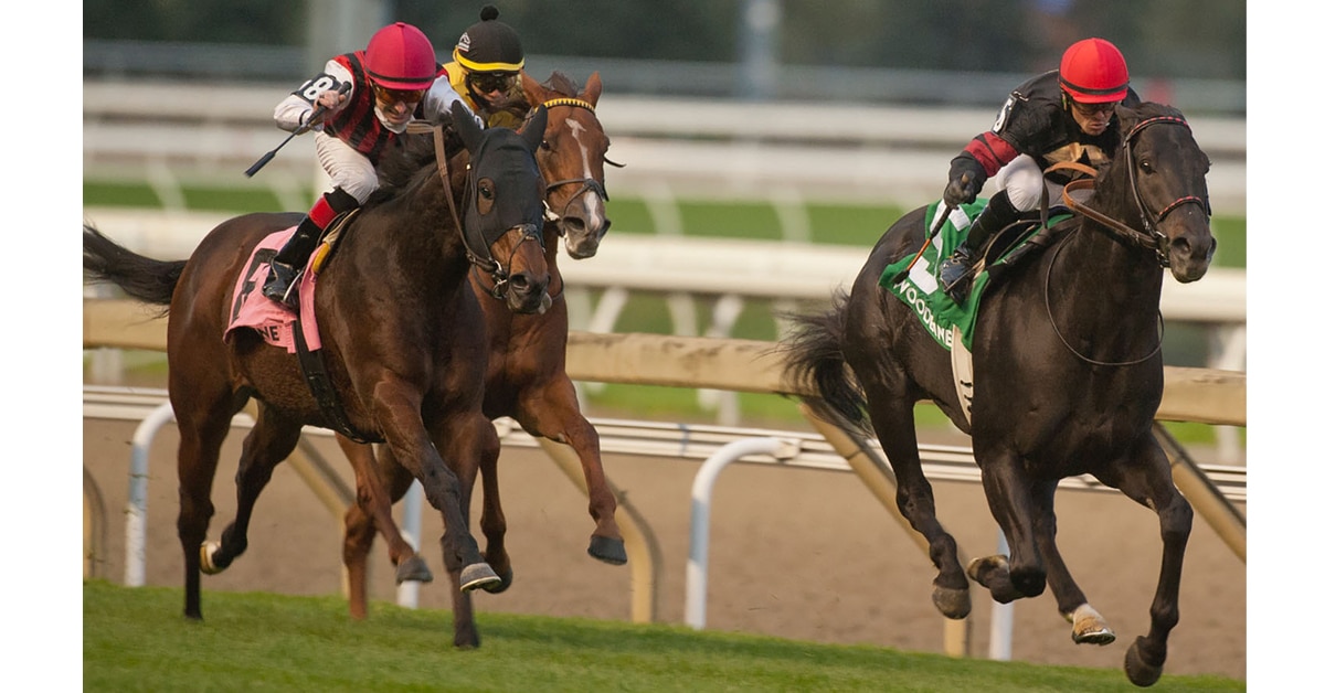 Thumbnail for Sunday Woodbine: Etoile in Taylor and Silent Poet Wins for Gonzalez