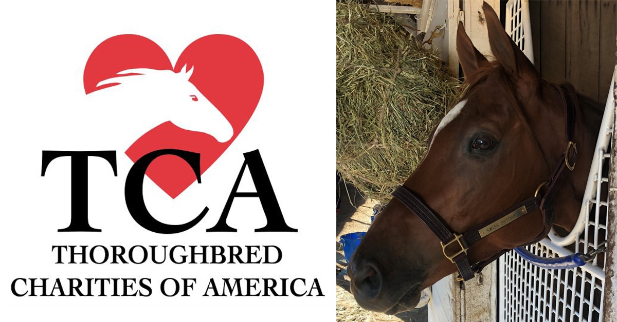 Thumbnail for Thoroughbred Charities of America to Auction Breeders’ Cup Halters