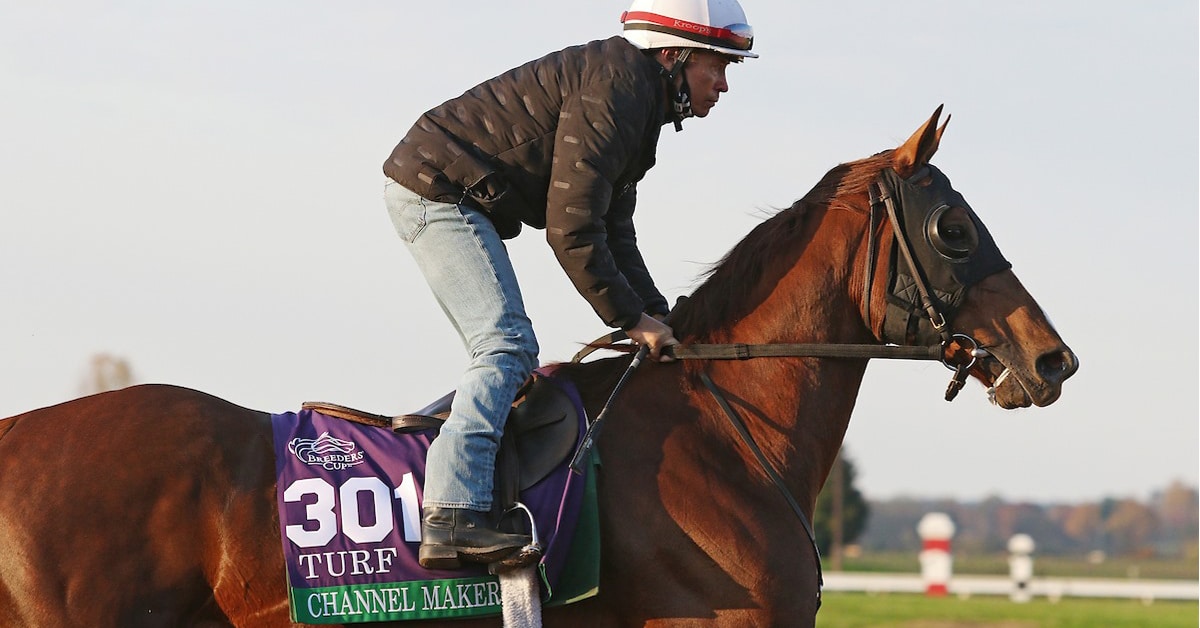 Thumbnail for Breeders’ Cup: Ontario-bred Channel Maker Can Hold His Head High