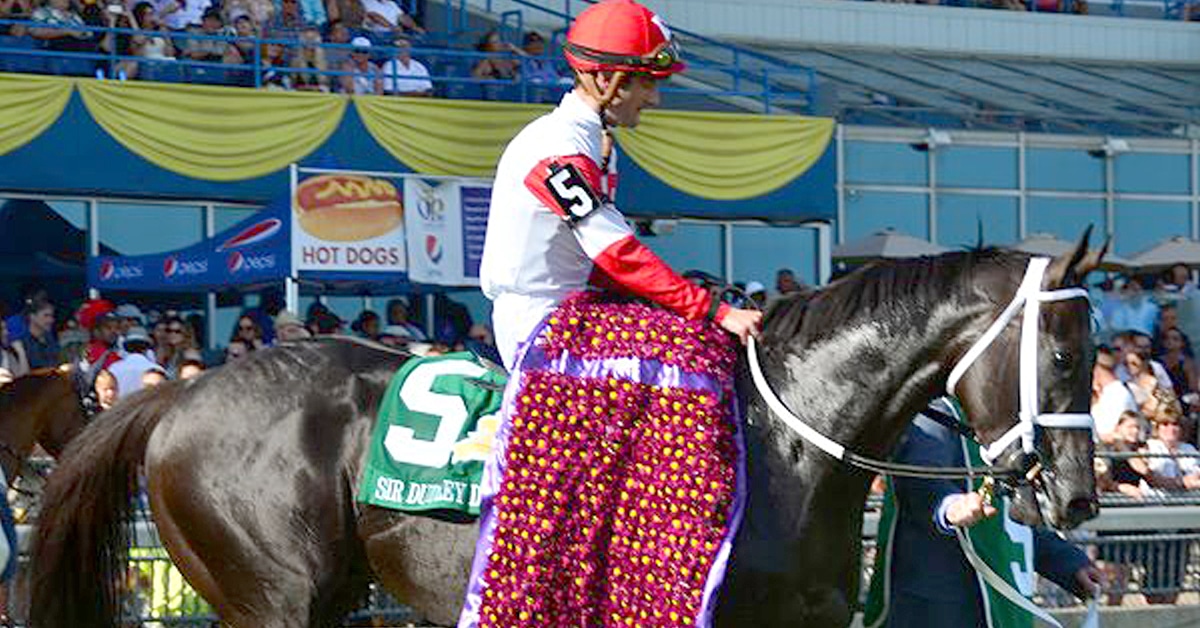 Thumbnail for Queen’s Plate Winner Sir Dudley Digges Returning to Ontario