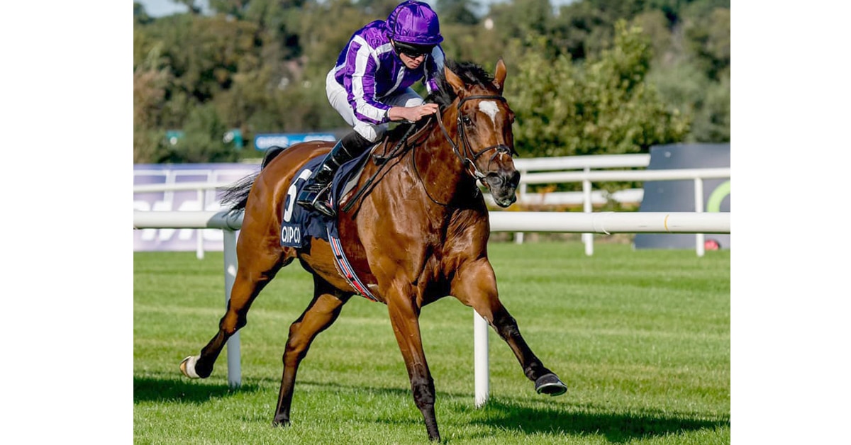 Thumbnail for Breeders’ Cup: European horses to Watch; How Canadians Stack Up
